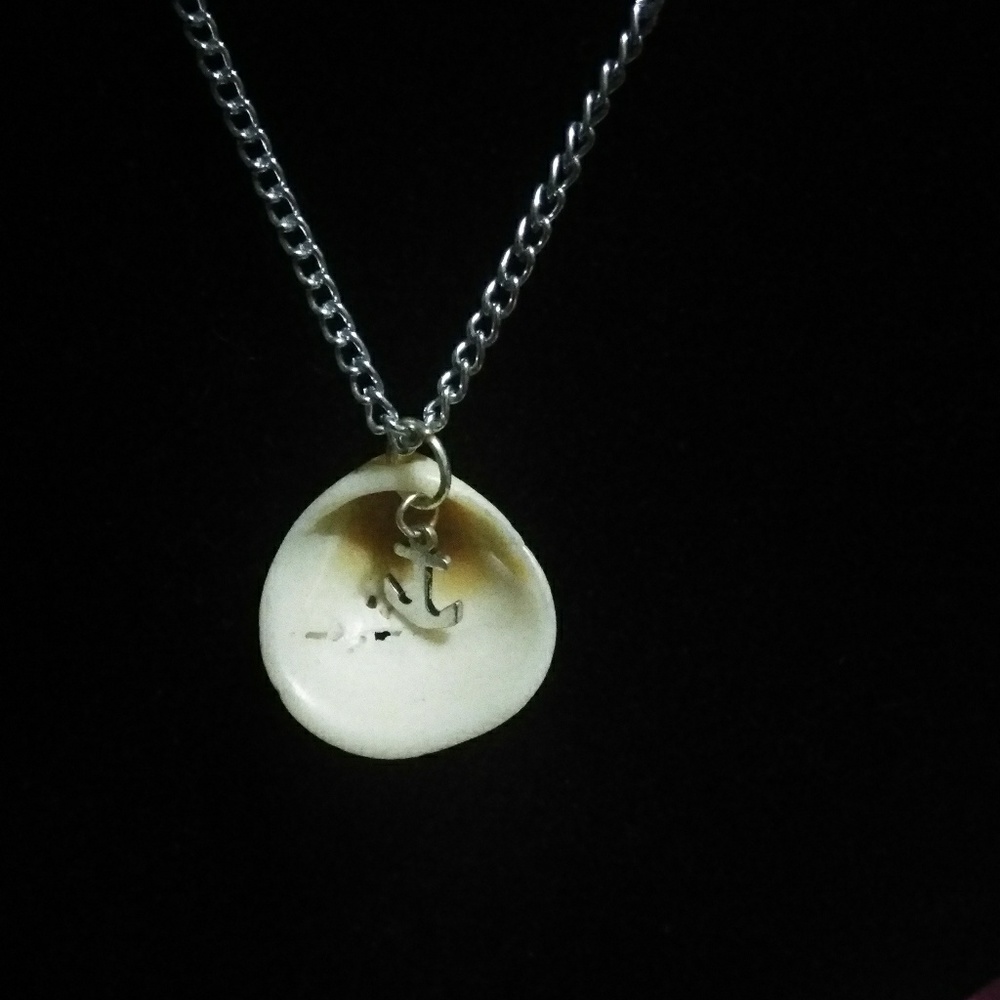 Natural Florida shell with anchor necklace